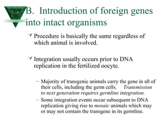 B. Introduction of foreign genes 
into intact organisms 
 Procedure is basically the same regardless of 
which animal is involved. 
 Integration usually occurs prior to DNA 
replication in the fertilized oocyte. 
– Majority of transgenic animals carry the gene in all of 
their cells, including the germ cells. Transmission 
to next generation requires germline integration. 
– Some integration events occur subsequent to DNA 
replication giving rise to mosaic animals which may 
or may not contain the transgene in its germline. 
 