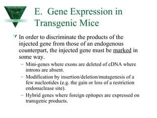 E. Gene Expression in 
Transgenic Mice 
 In order to discriminate the products of the 
injected gene from those of an endogenous 
counterpart, the injected gene must be marked in 
some way. 
– Mini-genes where exons are deleted of cDNA where 
introns are absent. 
– Modification by insertion/deletion/mutagenesis of a 
few nucleotides (e.g. the gain or loss of a restriction 
endonuclease site). 
– Hybrid genes where foreign epitopes are expressed on 
transgenic products. 
 