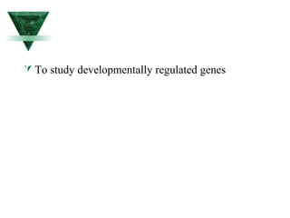  To study developmentally regulated genes 
 