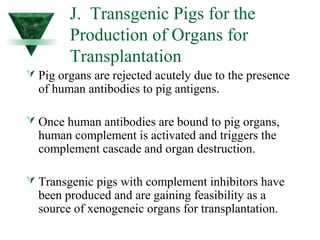 J. Transgenic Pigs for the 
Production of Organs for 
Transplantation 
 Pig organs are rejected acutely due to the presence 
of human antibodies to pig antigens. 
 Once human antibodies are bound to pig organs, 
human complement is activated and triggers the 
complement cascade and organ destruction. 
 Transgenic pigs with complement inhibitors have 
been produced and are gaining feasibility as a 
source of xenogeneic organs for transplantation. 
 