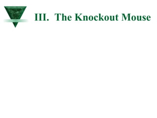 III. The Knockout Mouse 
 