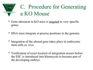 C. Procedure for Generating 
a KO Mouse 
 Gene alteration in KO mice is targeted to very specific 
genes. 
 DNA must integrate at precise positions in the genome. 
 Integration of the altered gene takes place in embryonic 
stem cells ex vivo. 
 Verification of exact location of integration occurs before 
the ESC is introduced into blastocysts to become part of 
the developing embryo. 
 