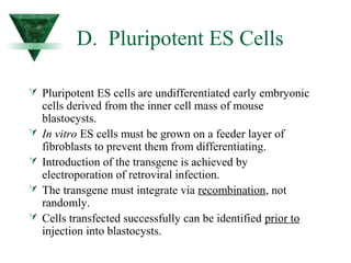 D. Pluripotent ES Cells 
 Pluripotent ES cells are undifferentiated early embryonic 
cells derived from the inner cell mass of mouse 
blastocysts. 
 In vitro ES cells must be grown on a feeder layer of 
fibroblasts to prevent them from differentiating. 
 Introduction of the transgene is achieved by 
electroporation of retroviral infection. 
 The transgene must integrate via recombination, not 
randomly. 
 Cells transfected successfully can be identified prior to 
injection into blastocysts. 
 
