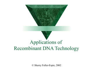 Applications of 
Recombinant DNA Technology 
© Sherry Fuller-Espie, 2002 
 