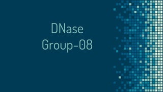 DNase
Group-08
 