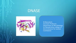 DNASE
M.Meenakshi
Assistant Professor,
Department of Microbiology,
Sri Ramakrishna college of
Arts & Science for women
Coimbatore
 