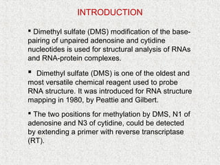 D nase, dms, microarray | PPT