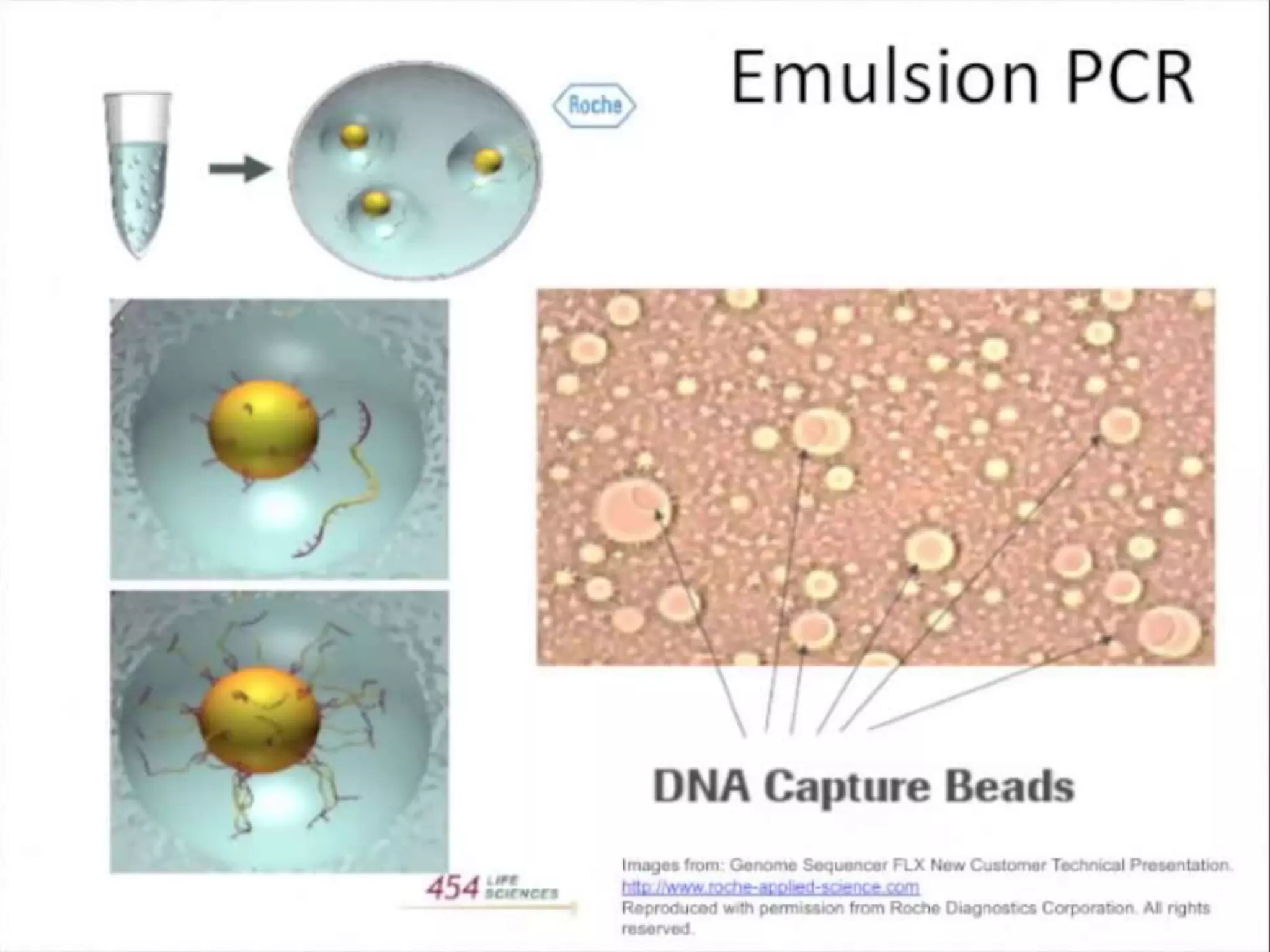 Advance DNA sequencing 