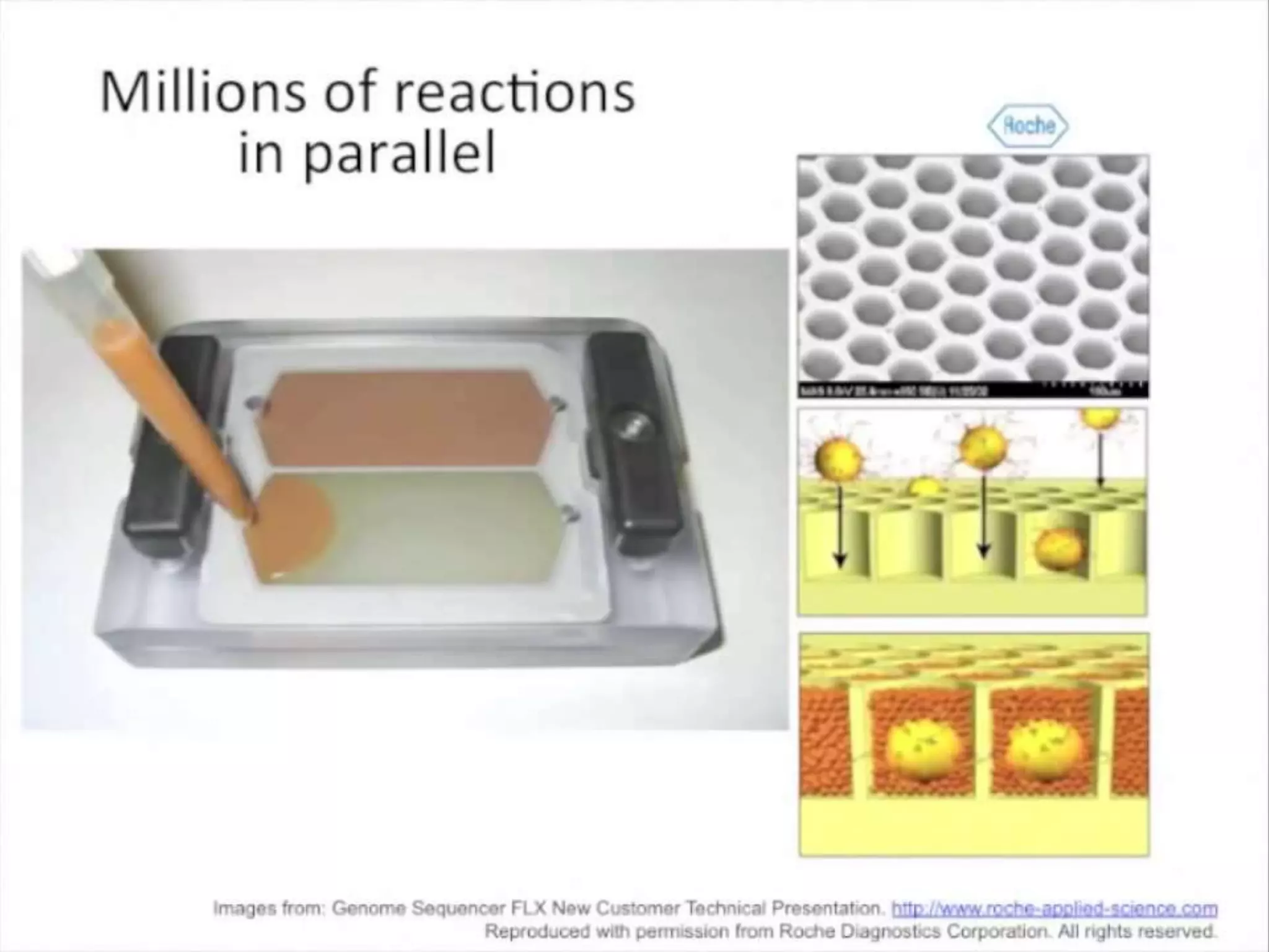 Advance DNA sequencing 