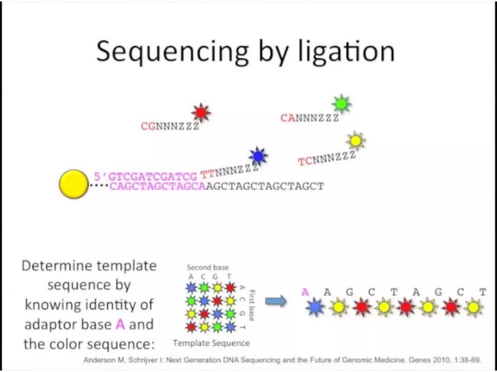 Advance DNA sequencing 