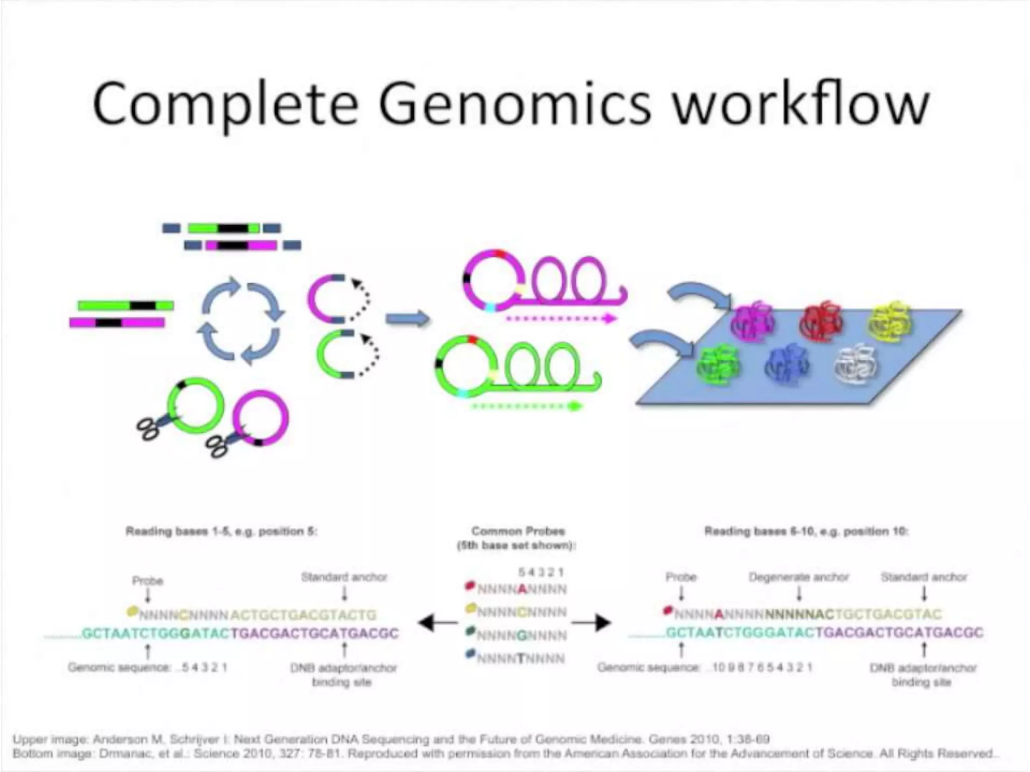 Advance DNA sequencing 