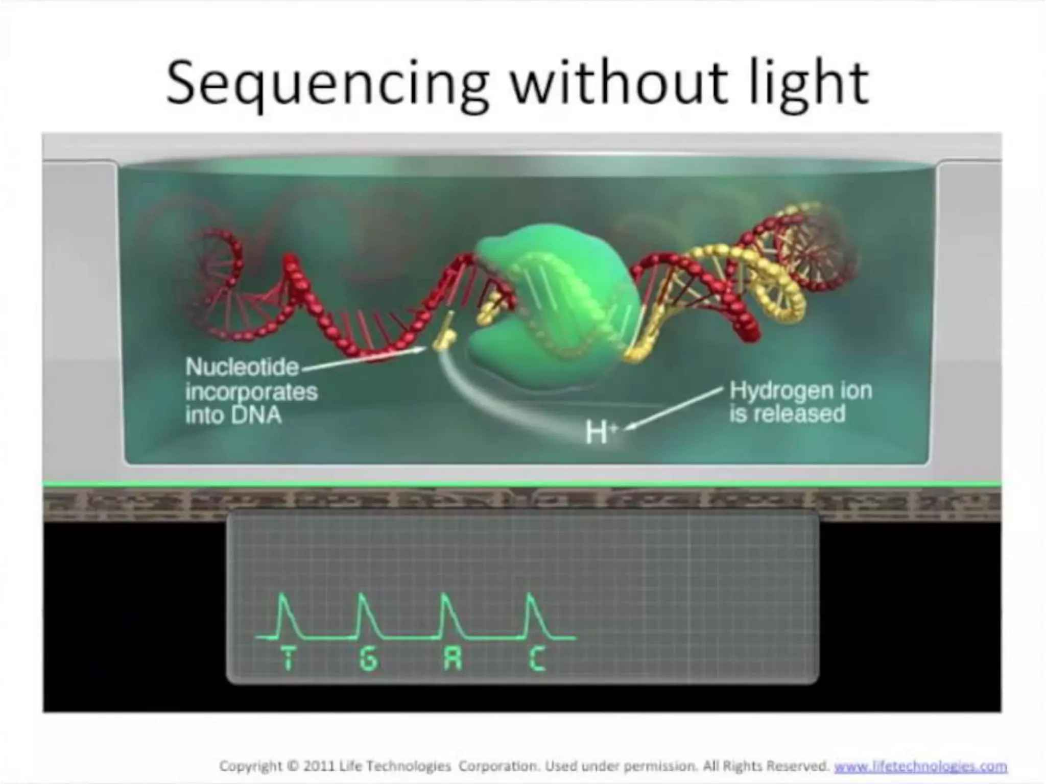 Advance DNA sequencing 