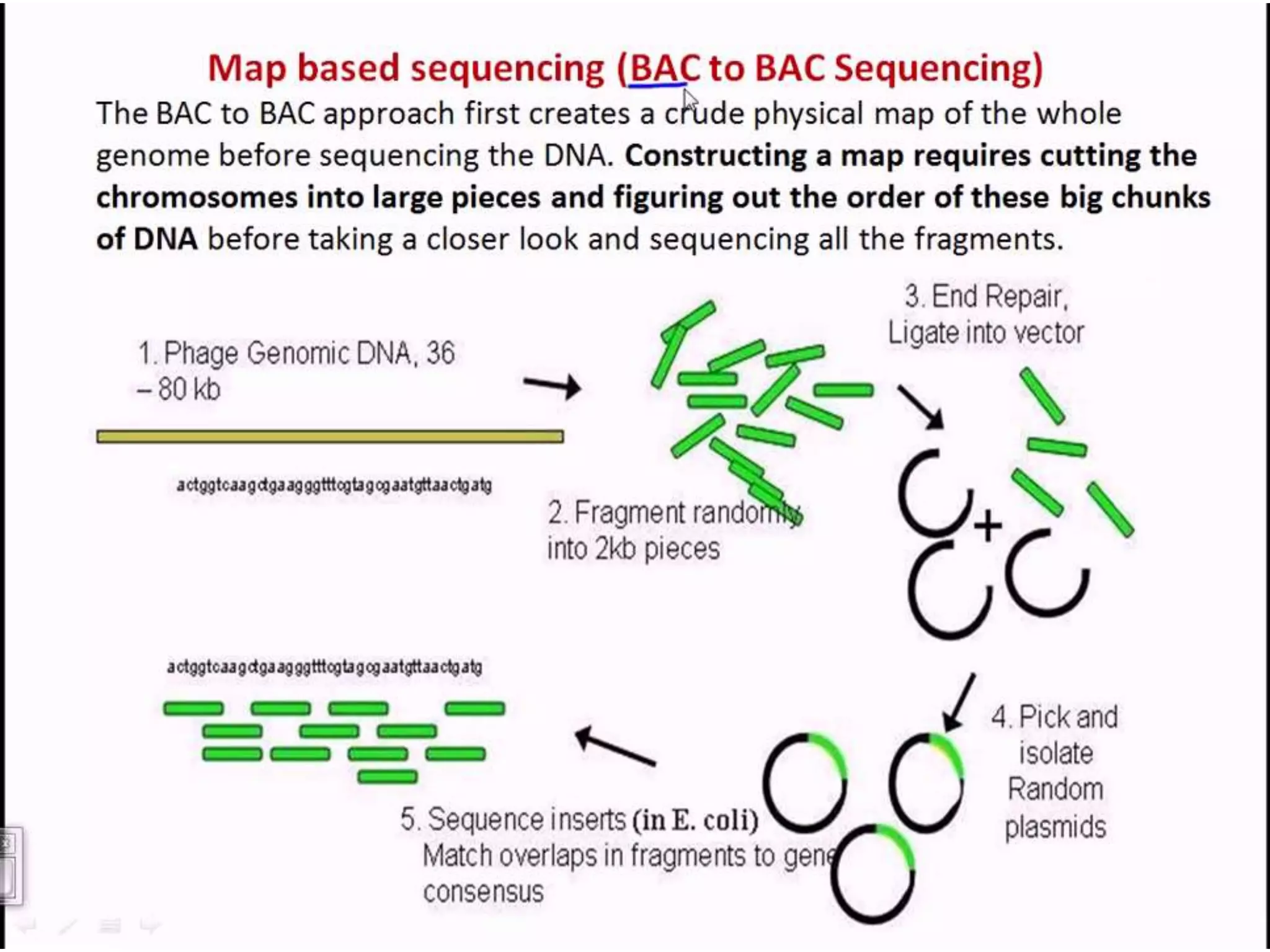 Advance DNA sequencing 