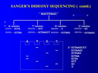 DNASeq and basis structure of Dna and its function | PPTX