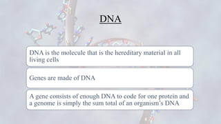 DNA
DNA is the molecule that is the hereditary material in all
living cells
Genes are made of DNA
A gene consists of enoug...