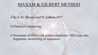MAXAM & GILBERT METHOD
➢By A.M. Maxam and W. Gilbert-1977
➢Chemical sequencing
➢Treatment of DNA with certain chemicals- D...