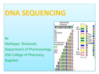 DNA SEQUENCING


By
Mallappa. Shalavadi,
Department of Pharmacology,
HSK College of Pharmacy,
Bagalkot.
 