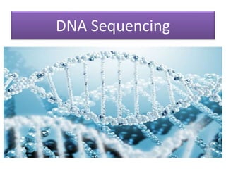 DNA Sequencing 
 