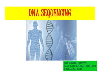 DNA SEQUENCING 
SURENDER RAWAT 
Msc. MICROBIAL BIOTECH 
ROLL NO. 1784 
 