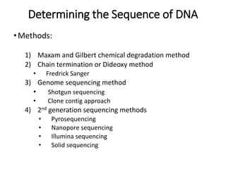 Determining the Sequence of DNA 
•Methods: 
1) Maxam and Gilbert chemical degradation method 
2) Chain termination or Dideoxy method 
• Fredrick Sanger 
3) Genome sequencing method 
• Shotgun sequencing 
• Clone contig approach 
4) 2nd generation sequencing methods 
• Pyrosequencing 
• Nanopore sequencing 
• Illumina sequencing 
• Solid sequencing 
 