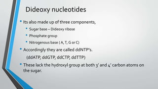 Dideoxy nucleotides
• Its also made up of three components,
• Sugar base – Dideoxy ribose
• Phosphate group
• Nitrogenous base ( A,T, G orC)
• Accordingly they are called ddNTP’s.
(ddATP, ddGTP, ddCTP, ddTTP)
• These lack the hydroxyl group at both 3’ and 4’ carbon atoms on
the sugar.
 