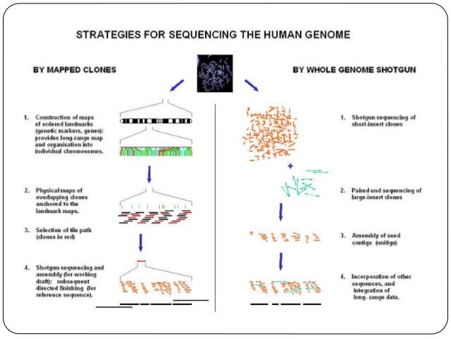 Dna sequencing