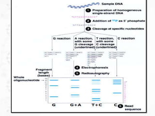 Dna sequencing methods | PPTX