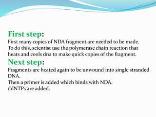 First step:
First many copies of NDA fragment are needed to be made.
To do this, scientist use the polymerase chain reaction that
heats and cools dna to make quick copies of the fragment.
Next step:
Fragments are heated again to be unwound into single stranded
DNA.
Then a primer is added which binds with NDA.
ddNTPs are added.
 