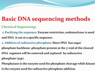 Basic DNA sequencing methods
Chemical Sequencing:
1: Purifying the sequence: Enzyme restriction, endonuclease is used
and DNA is cut at a specific sequence.
2. Addition of radioactive phosphate: Since DNA has sugar
phosphate backbone ,phosphate present at the 3’ end of the cleaved
DNA segment will be removed and replaced by radioactive
phosphate (32p).
Phosphatase is the enzyme used for phosphate cleavage while kinase
is the enzyme used for radioactive phosphate addition.
 