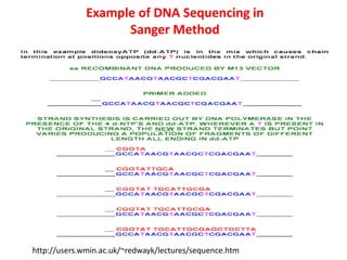 Example of DNA Sequencing in
Sanger Method
http://users.wmin.ac.uk/~redwayk/lectures/sequence.htm
 