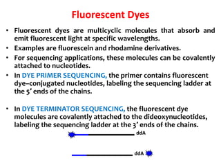 Fluorescent Dyes
• Fluorescent dyes are multicyclic molecules that absorb and
emit fluorescent light at specific wavelengths.
• Examples are fluorescein and rhodamine derivatives.
• For sequencing applications, these molecules can be covalently
attached to nucleotides.
• In DYE PRIMER SEQUENCING, the primer contains fluorescent
dye–conjugated nucleotides, labeling the sequencing ladder at
the 5′ ends of the chains.
• In DYE TERMINATOR SEQUENCING, the fluorescent dye
molecules are covalently attached to the dideoxynucleotides,
labeling the sequencing ladder at the 3′ ends of the chains.
ddA
ddA
 