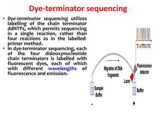 Dye-terminator sequencing
• Dye-terminator sequencing utilizes
labelling of the chain terminator
ddNTPs, which permits sequencing
in a single reaction, rather than
four reactions as in the labelled-
primer method.
• In dye-terminator sequencing, each
of the four dideoxynucleotide
chain terminators is labelled with
fluorescent dyes, each of which
with different wavelengths of
fluorescence and emission.
 