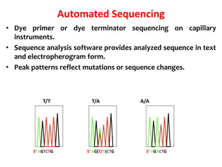 5′ AGTCTG 5′ AG(T/A)CTG 5′ AGACTG
T/T T/A A/A
Automated Sequencing
• Dye primer or dye terminator sequencing on capillary
instruments.
• Sequence analysis software provides analyzed sequence in text
and electropherogram form.
• Peak patterns reflect mutations or sequence changes.
 