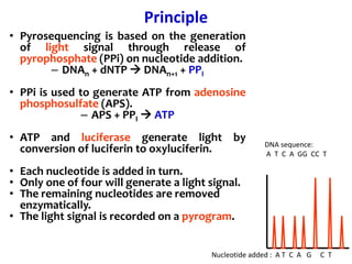 Principle
• Pyrosequencing is based on the generation
of light signal through release of
pyrophosphate (PPi) on nucleotide addition.
– DNAn + dNTP  DNAn+1 + PPI
• PPi is used to generate ATP from adenosine
phosphosulfate (APS).
– APS + PPI  ATP
• ATP and luciferase generate light by
conversion of luciferin to oxyluciferin.
• Each nucleotide is added in turn.
• Only one of four will generate a light signal.
• The remaining nucleotides are removed
enzymatically.
• The light signal is recorded on a pyrogram.
DNA sequence:
A T C A GG CC T
Nucleotide added : A T C A G C T
 