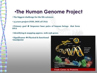 •The Human Genome Project
• The biggest challenge for the life sciences
• 15 years project (NIH, DOE of USA)
• Primary goal  Sequence base pairs of human beings that form
DNA
• Identifying & mapping approx. 20K-25K genes
• Significance  Physical & functional
•standpoint
 