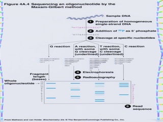 •Principle
A graphical demonstration
 