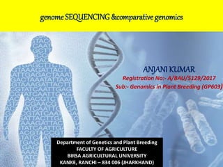 genome SEQUENCING &comparative genomics
ANJANI KUMAR
Registration No:- A/BAU/5129/2017
Sub:- Genomics in Plant Breeding (GP603)
Department of Genetics and Plant Breeding
FACULTY OF AGRICULTURE
BIRSA AGRICULTURAL UNIVERSITY
KANKE, RANCHI – 834 006 (JHARKHAND)
 