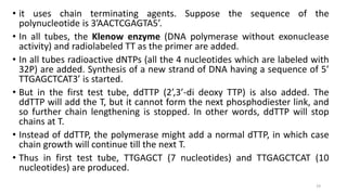 • it uses chain terminating agents. Suppose the sequence of the
polynucleotide is 3’AACTCGAGTA5’.
• In all tubes, the Klenow enzyme (DNA polymerase without exonuclease
activity) and radiolabeled TT as the primer are added.
• In all tubes radioactive dNTPs (all the 4 nucleotides which are labeled with
32P) are added. Synthesis of a new strand of DNA having a sequence of 5’
TTGAGCTCAT3’ is started.
• But in the first test tube, ddTTP (2’,3’-di deoxy TTP) is also added. The
ddTTP will add the T, but it cannot form the next phosphodiester link, and
so further chain lengthening is stopped. In other words, ddTTP will stop
chains at T.
• Instead of ddTTP, the polymerase might add a normal dTTP, in which case
chain growth will continue till the next T.
• Thus in first test tube, TTGAGCT (7 nucleotides) and TTGAGCTCAT (10
nucleotides) are produced.
19
 
