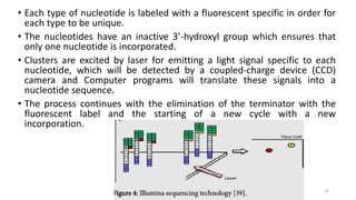 • Each type of nucleotide is labeled with a fluorescent specific in order for
each type to be unique.
• The nucleotides have an inactive 3’-hydroxyl group which ensures that
only one nucleotide is incorporated.
• Clusters are excited by laser for emitting a light signal specific to each
nucleotide, which will be detected by a coupled-charge device (CCD)
camera and Computer programs will translate these signals into a
nucleotide sequence.
• The process continues with the elimination of the terminator with the
fluorescent label and the starting of a new cycle with a new
incorporation.
39
 