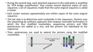 DNA Sequencing | PPT
