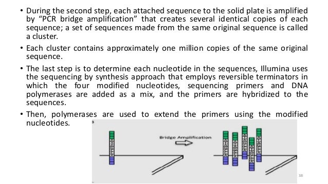 period 2 sequence snapgene period 2 sequence snapgene