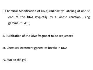 I. Chemical Modification of DNA; radioactive labeling at one 5'
end of the DNA (typically by a kinase reaction using
gamma-32P ATP)
II. Purification of the DNA fragment to be sequenced
III. Chemical treatment generates breaks in DNA
IV.Run on the gel
 