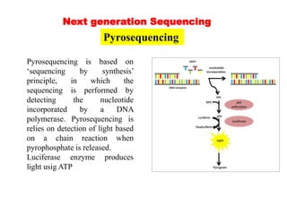 Dna sequencing | PPTX