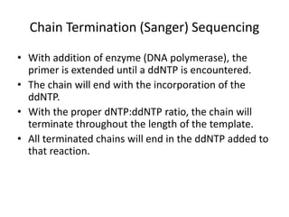 Chain Termination (Sanger) Sequencing
• With addition of enzyme (DNA polymerase), the
primer is extended until a ddNTP is encountered.
• The chain will end with the incorporation of the
ddNTP.
• With the proper dNTP:ddNTP ratio, the chain will
terminate throughout the length of the template.
• All terminated chains will end in the ddNTP added to
that reaction.
 