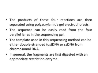 • The products of these four reactions are then
separated using polyacrylamide gel electrophoresis.
• The sequence can be easily read from the four
parallel lanes in the sequencing gel.
• The template used in this sequencing method can be
either double-stranded (ds)DNA or ssDNA from
chromosomal DNA.
• In general, the fragments are first digested with an
appropriate restriction enzyme.
 