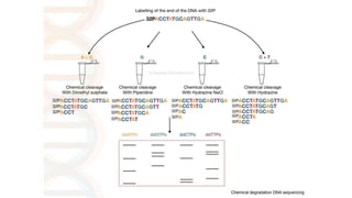 PROF S.SUBBIAH et al.
 