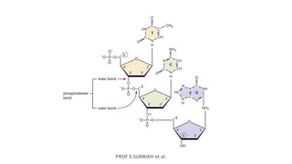 PROF S.SUBBIAH et al.
 