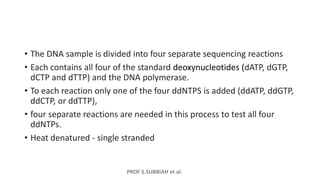 PROF S.SUBBIAH et al.
• The DNA sample is divided into four separate sequencing reactions
• Each contains all four of the standard deoxynucleotides (dATP, dGTP,
dCTP and dTTP) and the DNA polymerase.
• To each reaction only one of the four ddNTPS is added (ddATP, ddGTP,
ddCTP, or ddTTP),
• four separate reactions are needed in this process to test all four
ddNTPs.
• Heat denatured - single stranded
 