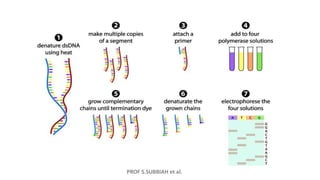 PROF S.SUBBIAH et al.
 