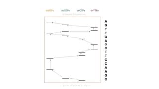 PROF S.SUBBIAH et al.
 